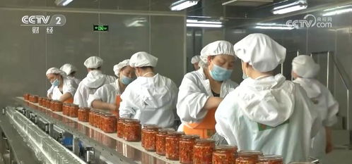 全鏈條推進(jìn)鄉(xiāng)村特色產(chǎn)業(yè) 以農(nóng)產(chǎn)品加工業(yè)提升土特產(chǎn)效益